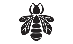 Beeluna